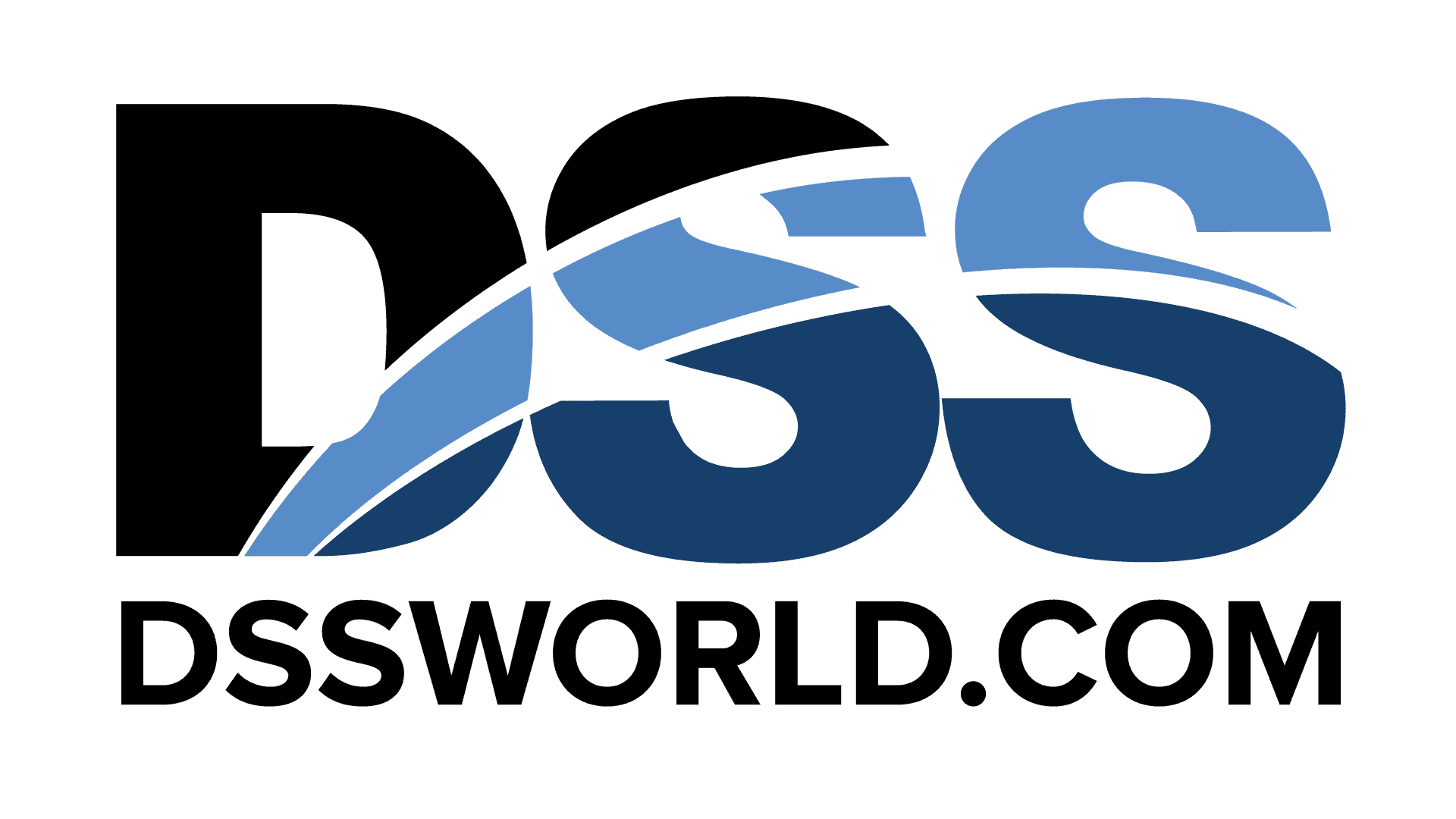 DSS, Inc. Reports Going Concern Audit Opinion in 2025 10-K Filing